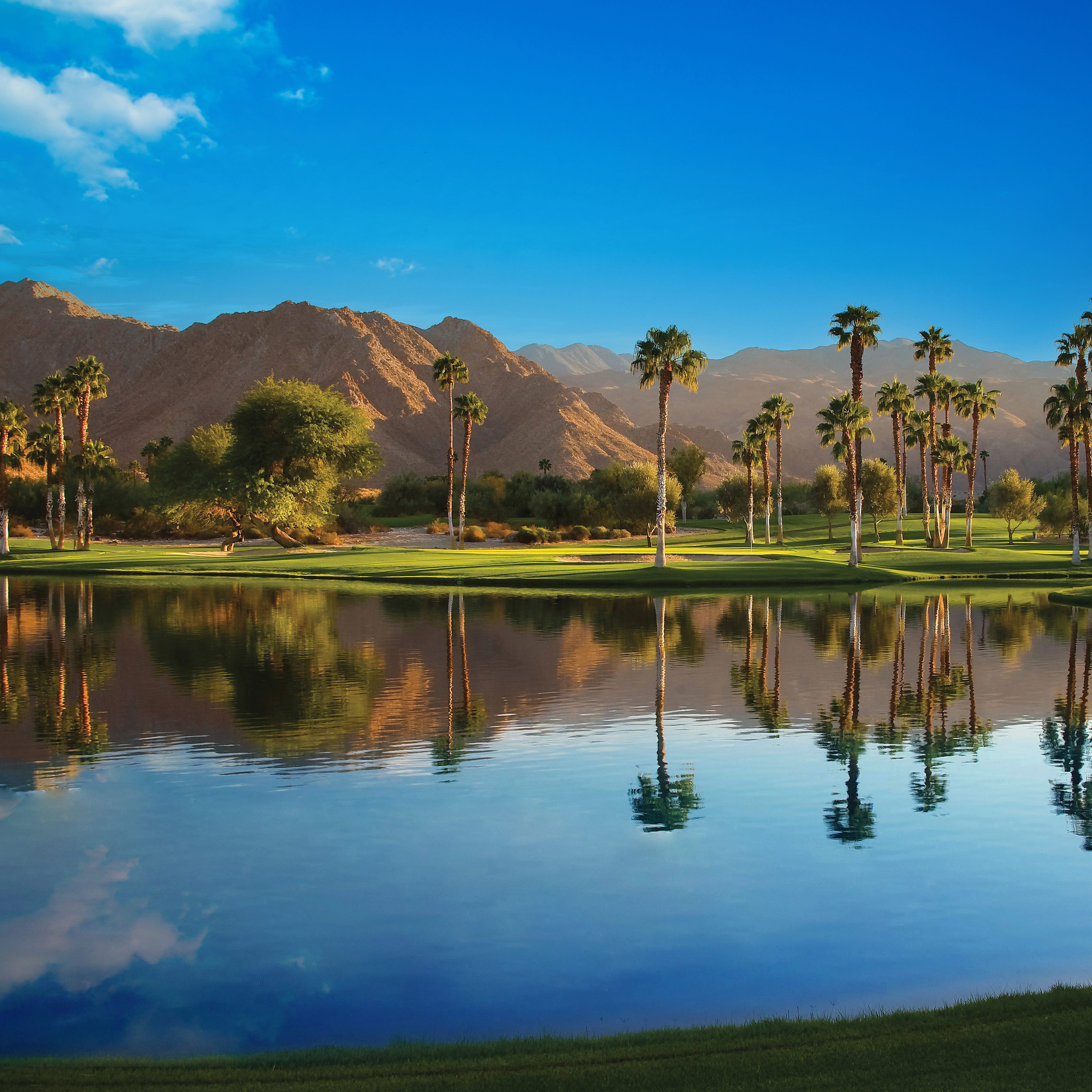 The Ultimate Guide to Indian Wells